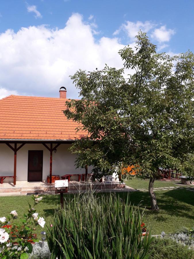 Mátyás Madár Vendégház Tard Exterior foto